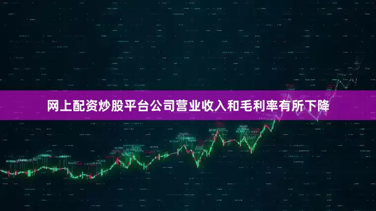 网上配资炒股平台公司营业收入和毛利率有所下降
