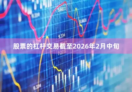股票的杠杆交易截至2026年2月中旬