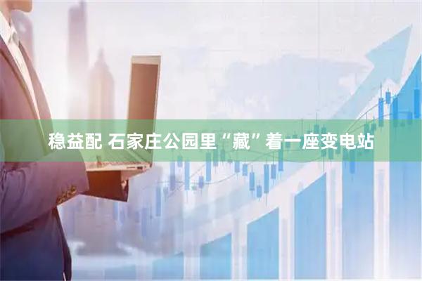 稳益配 石家庄公园里“藏”着一座变电站