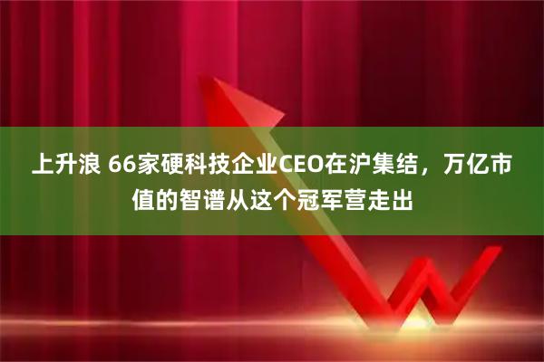 上升浪 66家硬科技企业CEO在沪集结，万亿市值的智谱从这个冠军营走出